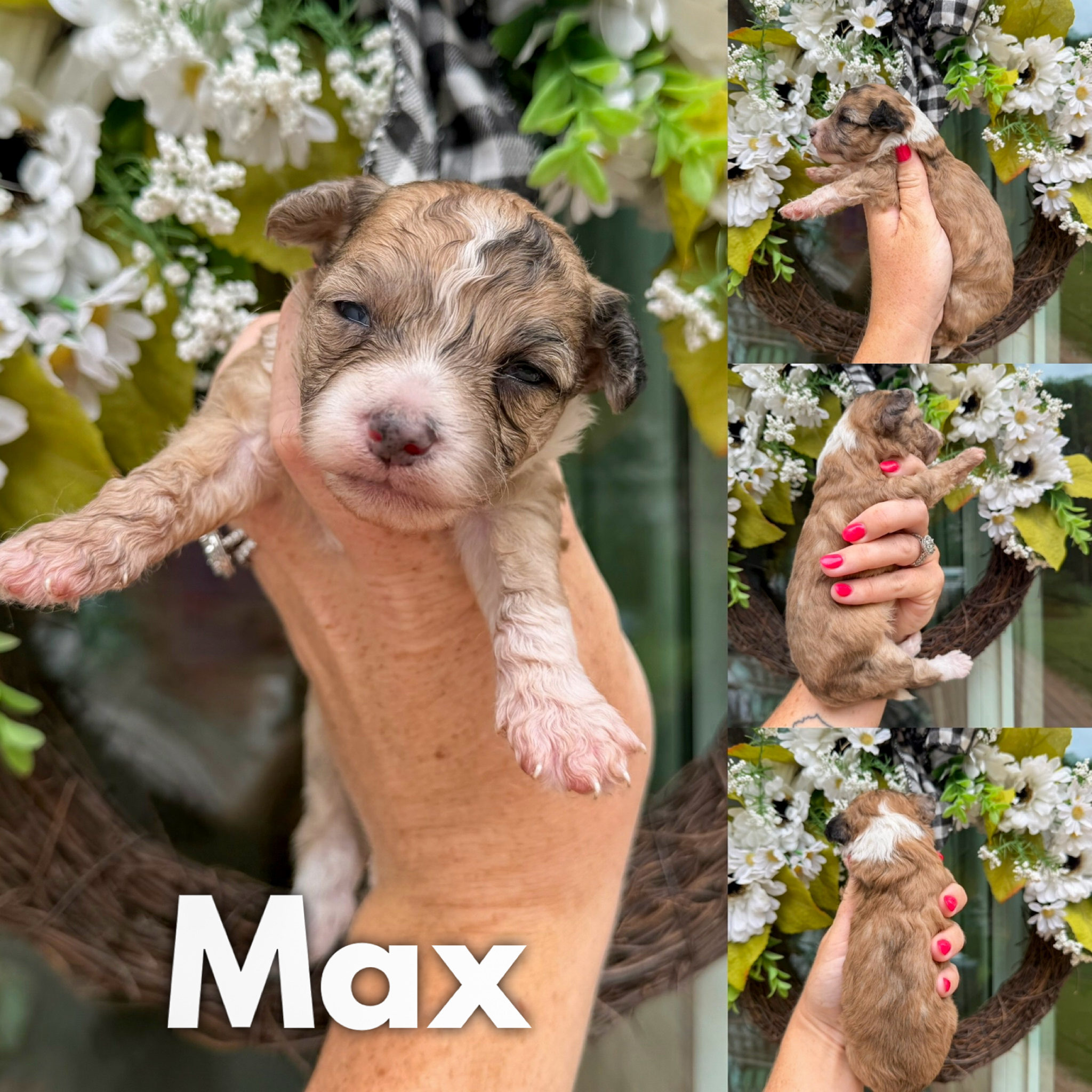 Max  1